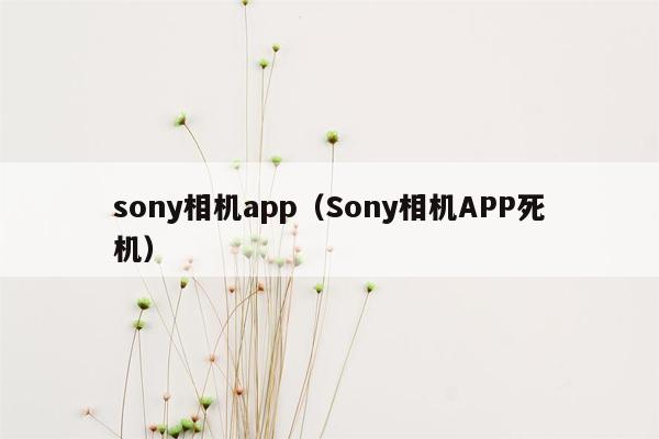 sony相机app（Sony相机APP死机）