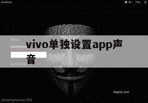 vivo单独设置app声音（vivo控制单独app音量）