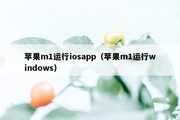 苹果m1运行iosapp（苹果m1运行windows）