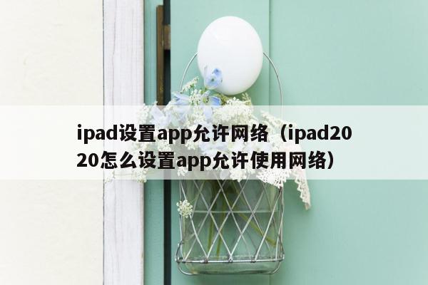ipad设置app允许网络（ipad2020怎么设置app允许使用网络）