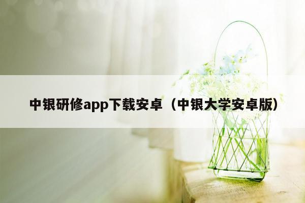 中银研修app下载安卓（中银大学安卓版）