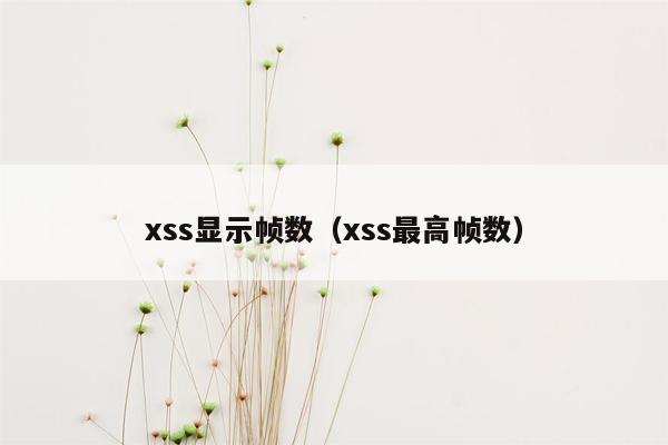 xss显示帧数（xss最高帧数）