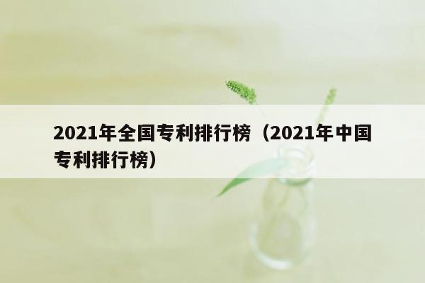 2021年全国专利排行榜（2021年中国专利排行榜）