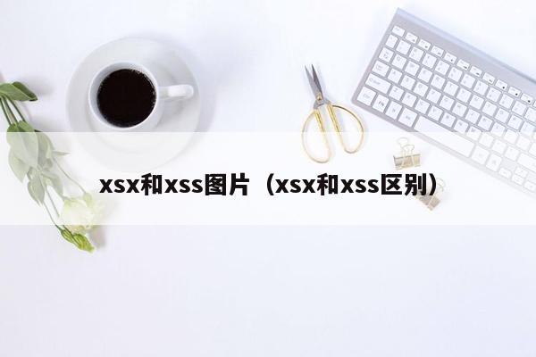 xsx和xss图片（xsx和xss区别）