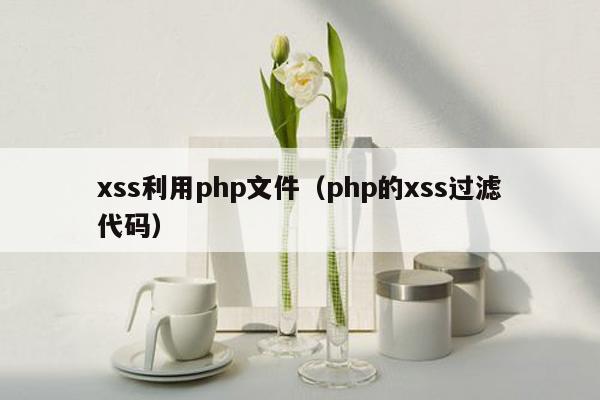 xss利用php文件（php的xss过滤代码）