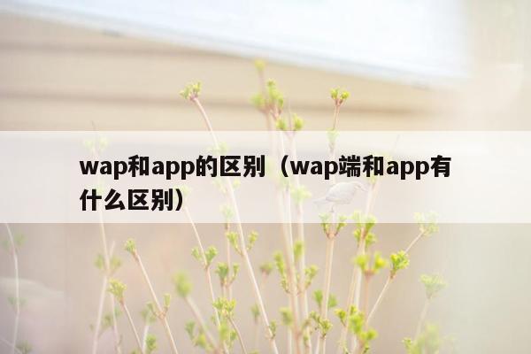 wap和app的区别（wap端和app有什么区别）