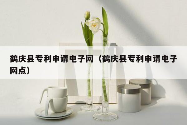鹤庆县专利申请电子网（鹤庆县专利申请电子网点）