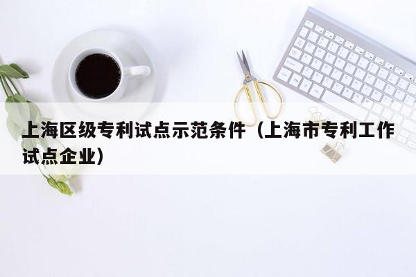 上海区级专利试点示范条件（上海市专利工作试点企业）