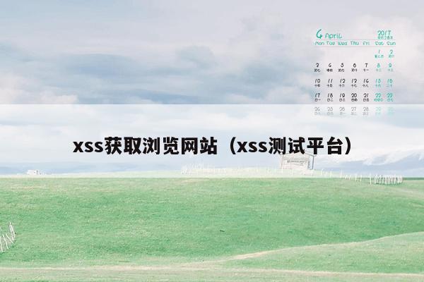 xss获取浏览网站（xss测试平台）