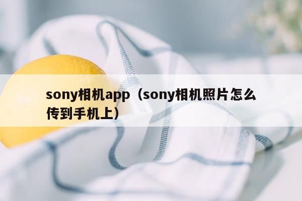 sony相机app（sony相机照片怎么传到手机上）