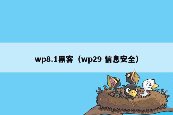 wp8.1黑客（wp29 信息安全）