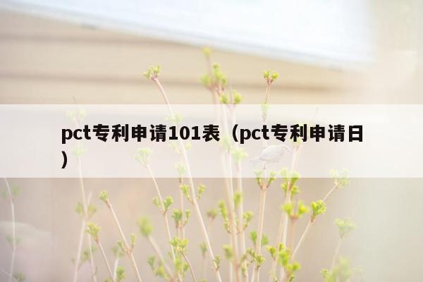 pct专利申请101表（pct专利申请日）