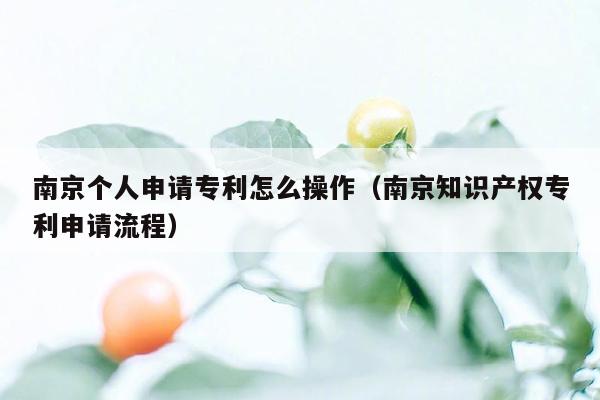 南京个人申请专利怎么操作（南京知识产权专利申请流程）