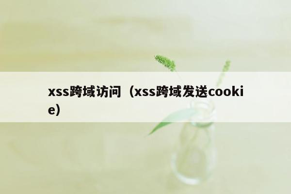 xss跨域访问（xss跨域发送cookie）