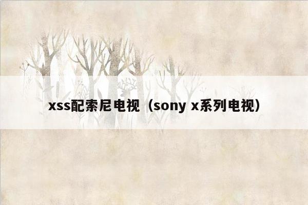 xss配索尼电视（sony x系列电视）