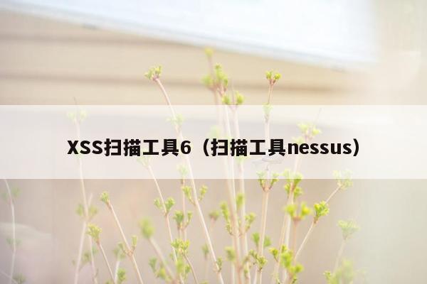 XSS扫描工具6（扫描工具nessus）