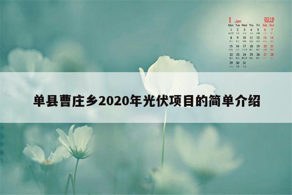 单县曹庄乡2020年光伏项目的简单介绍