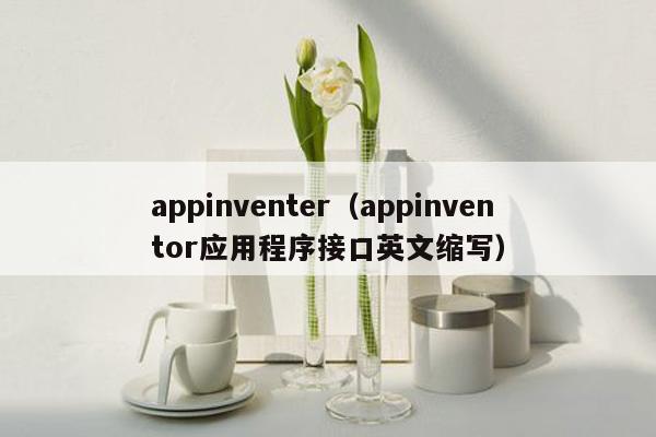 appinventer（appinventor应用程序接口英文缩写）