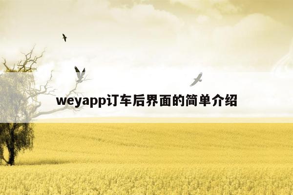 weyapp订车后界面的简单介绍