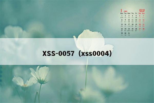 XSS-0057（xss0004）