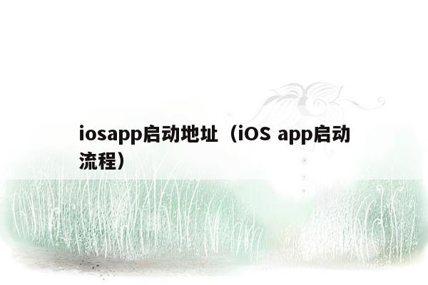 iosapp启动地址（iOS app启动流程）