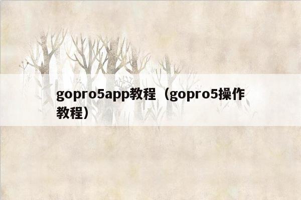 gopro5app教程（gopro5操作教程）