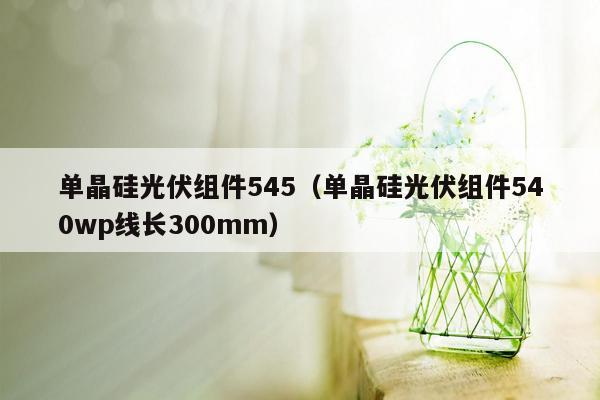 单晶硅光伏组件545（单晶硅光伏组件540wp线长300mm）