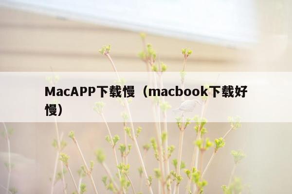 MacAPP下载慢（macbook下载好慢）