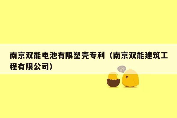 南京双能电池有限塑壳专利（南京双能建筑工程有限公司）