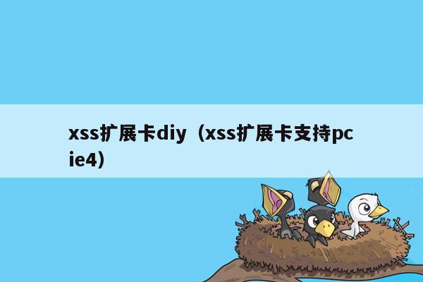 xss扩展卡diy（xss扩展卡支持pcie4）