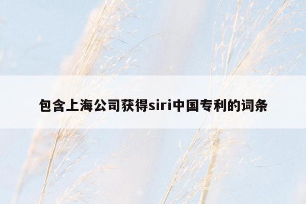 包含上海公司获得siri中国专利的词条