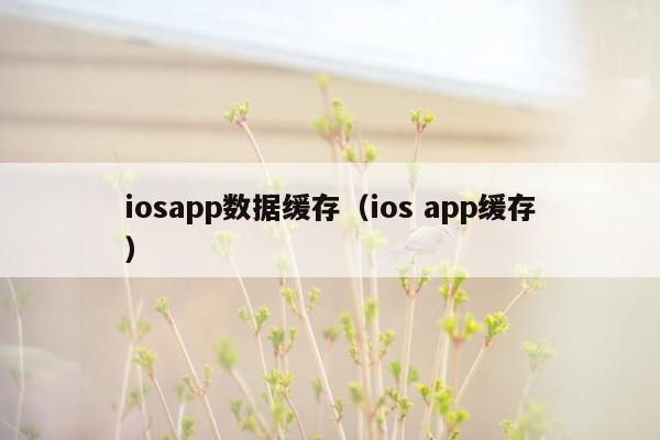 iosapp数据缓存（ios app缓存）
