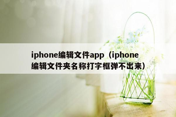 iphone编辑文件app（iphone编辑文件夹名称打字框弹不出来）