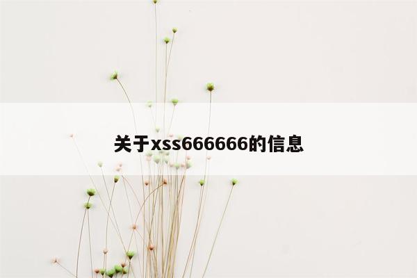 关于xss666666的信息