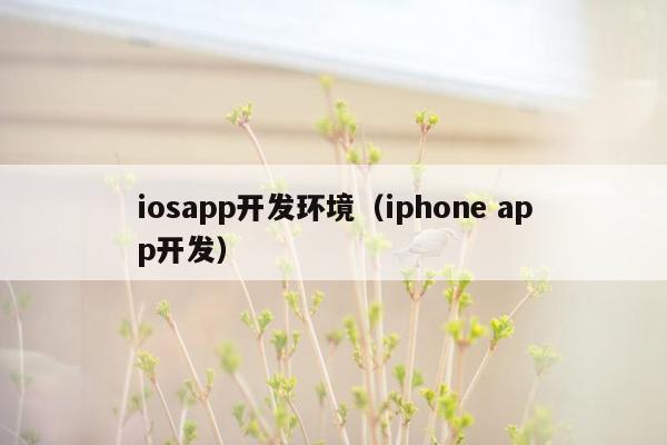 iosapp开发环境（iphone app开发）