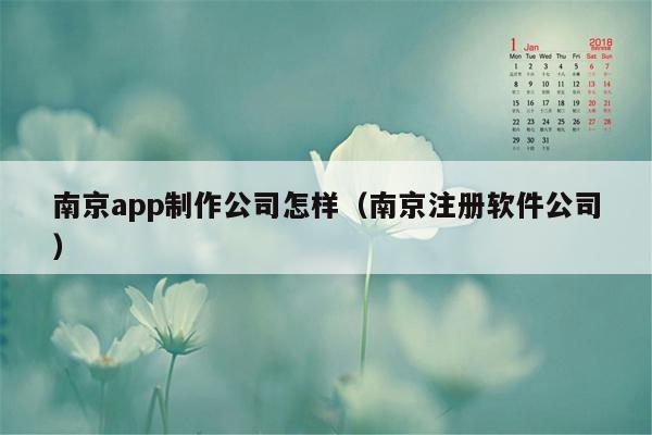 南京app制作公司怎样（南京注册软件公司）