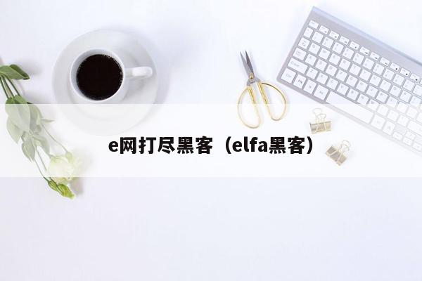 e网打尽黑客（elfa黑客）