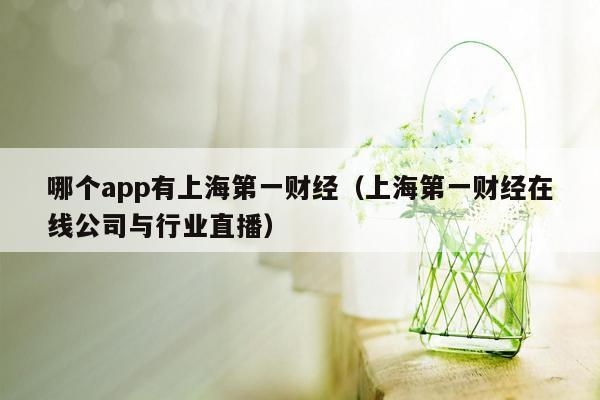 哪个app有上海第一财经（上海第一财经在线公司与行业直播）