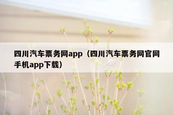 四川汽车票务网app（四川汽车票务网官网手机app下载）