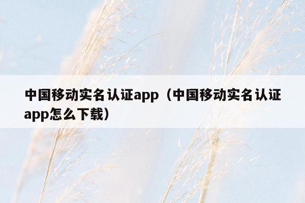 中国移动实名认证app（中国移动实名认证app怎么下载）